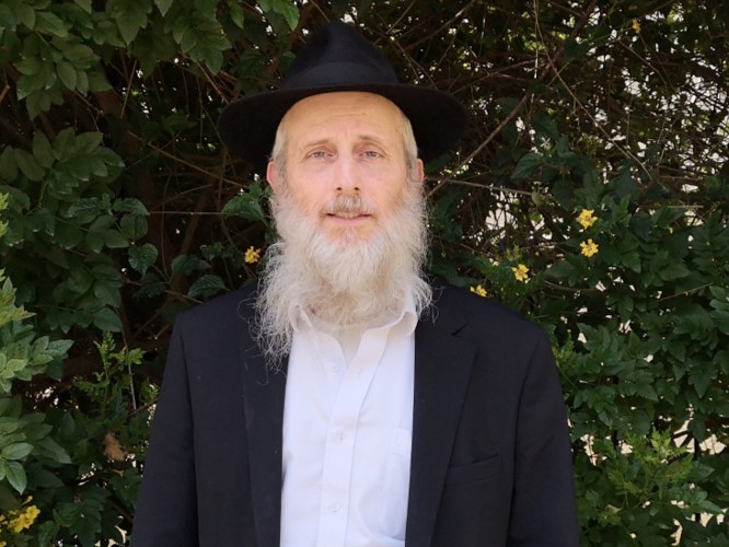 ארז קרלשטיין